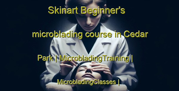 Skinart Beginner's microblading course in Cedar Park | MicrobladingTraining | MicrobladingClasses | SkinartTraining-United States